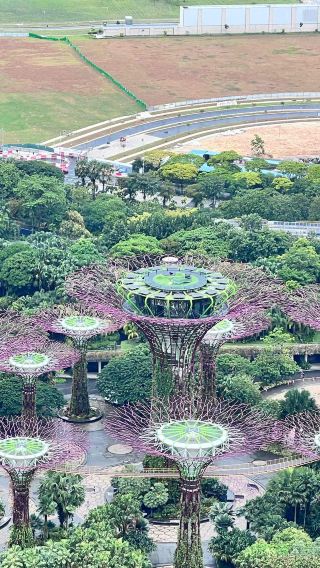 3日2晚 • 新加坡