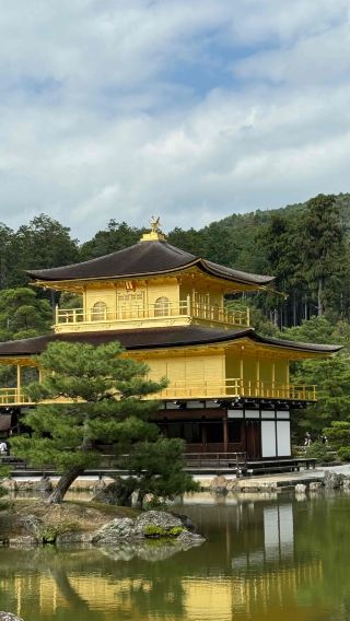 4D3N • Exquisite Short Break Collection-Nagoya, Kyoto, Nara & Osaka