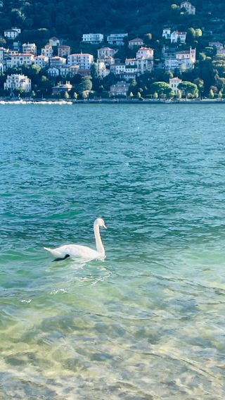 5D4N • Italy: Milan + Como + Verona + Pavia + Lake Como + Villa del Balbianello + Juliet's House + an Italian Dream that blends the scenery of lakes and mountains, love legends, and medieval wisdom