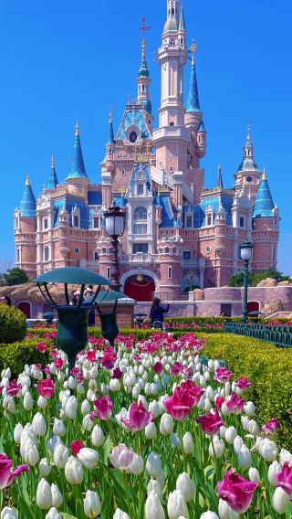 5D4N • Shanghai Disneyland, Suzhou, Hangzhou & Wuzhen: Free SIM data card, no tips required, first-class 2+1 coach, small group of 25 guests