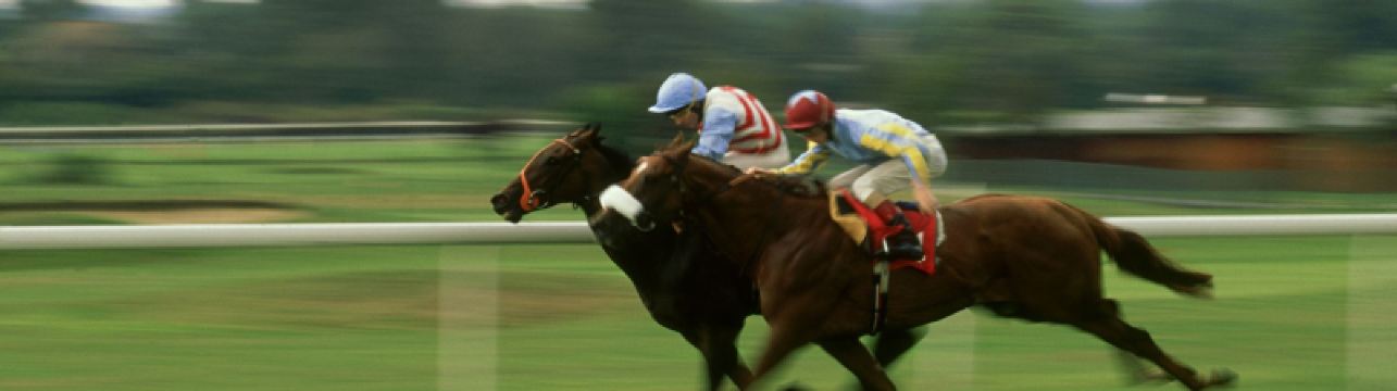 Trains to Royal Ascot 2026: Nearest station, popular routes & event info