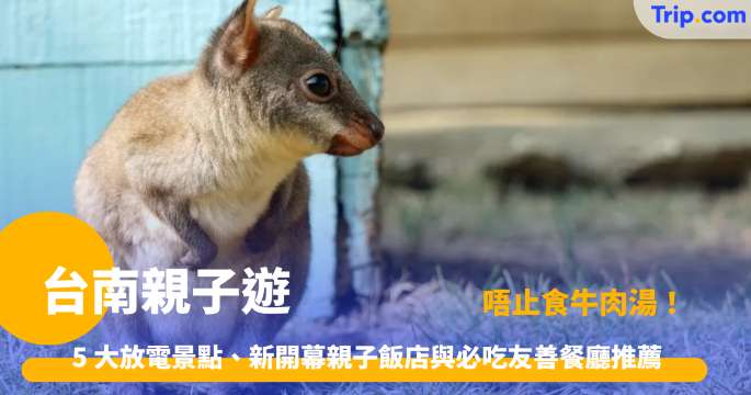 台南親子遊2026攻略: 5大必去景點、親子酒店及餐廳推薦 | Trip.com