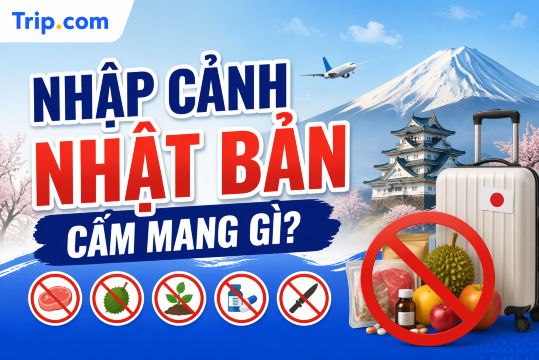 Nhập cảnh Nhật Bản cấm mang gì? [Cập nhật 2026]  Quy định hải quan & Đồ bị cấm | Trip.com