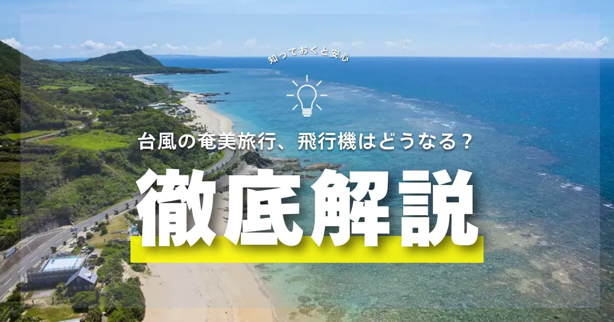 奄美台風時の飛行機はどうなる？欠航率・運航状況確認・払い戻しまで解説