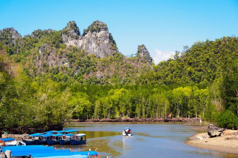 Mangrove Ecological Reserve
