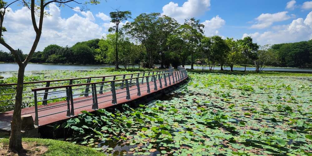 Visit Cyberjaya Lake Gardens