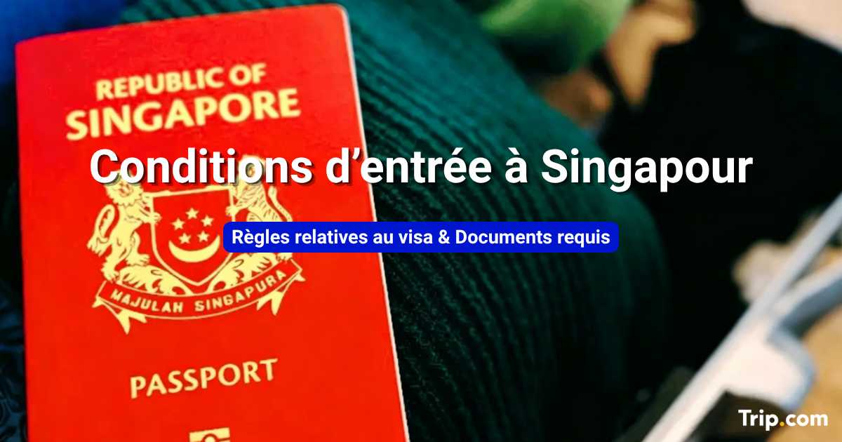 Conditions d'entrée à Singapour : Faut-il un visa ?