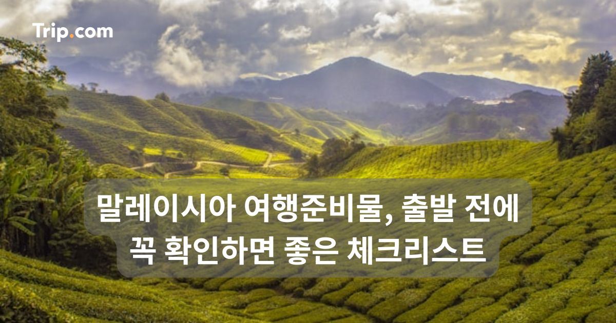 말레이시아 여행 준비물, 출발 전에 꼭 확인하면 좋은 것 | 트립닷컴