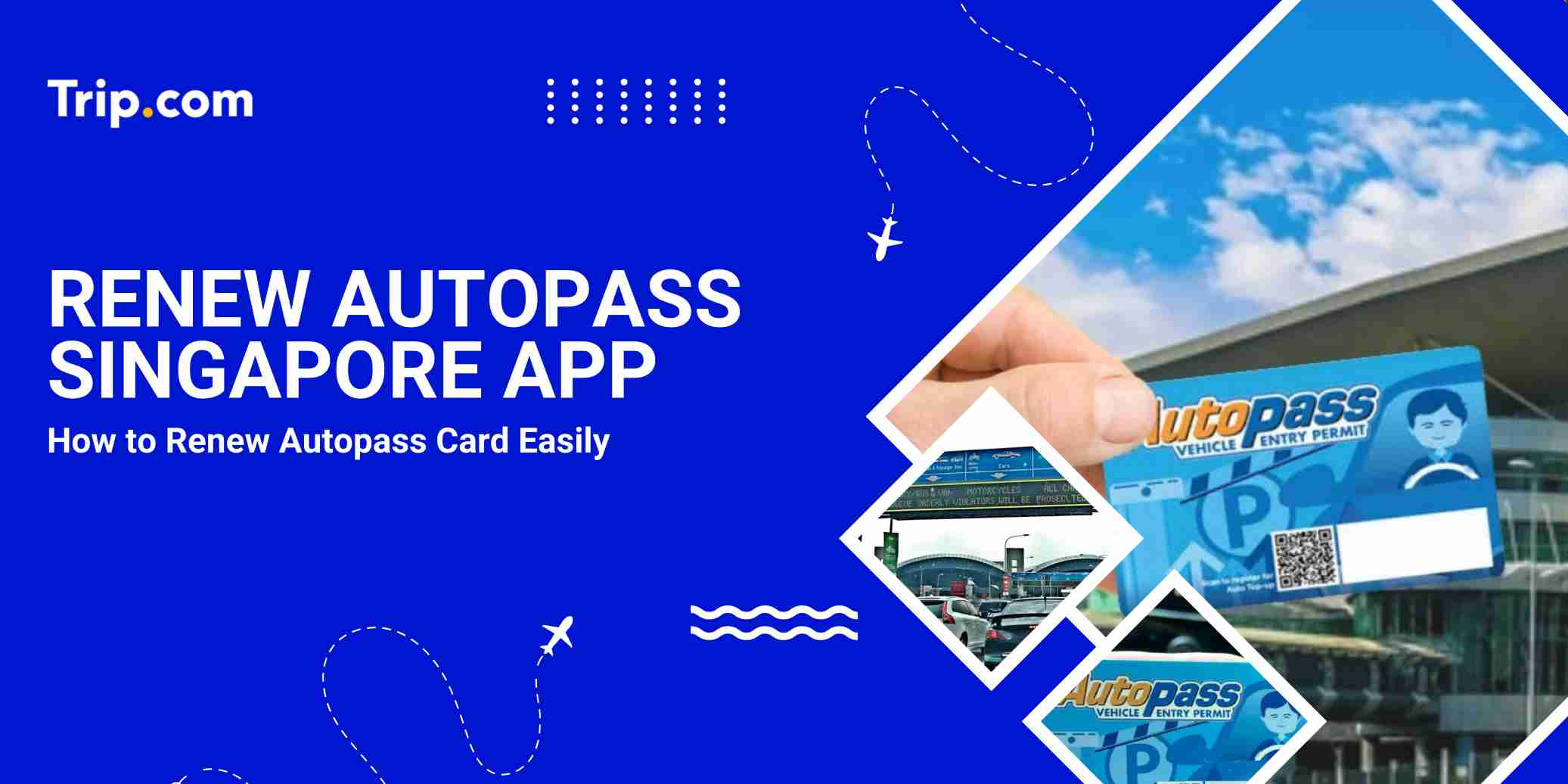 Renew AutoPass Singapore App