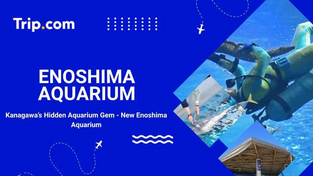 Enoshima Aquarium