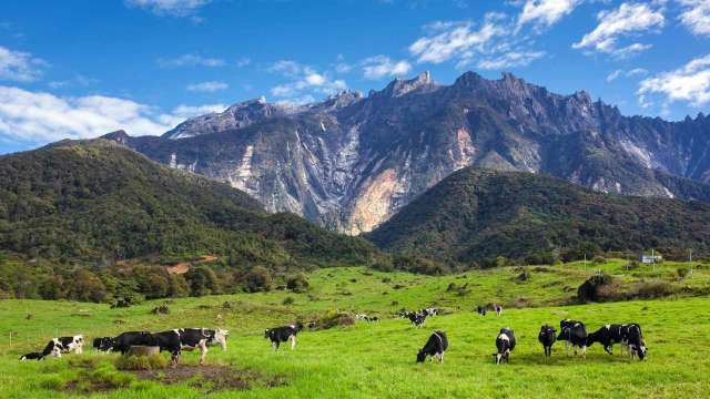 kundasang
