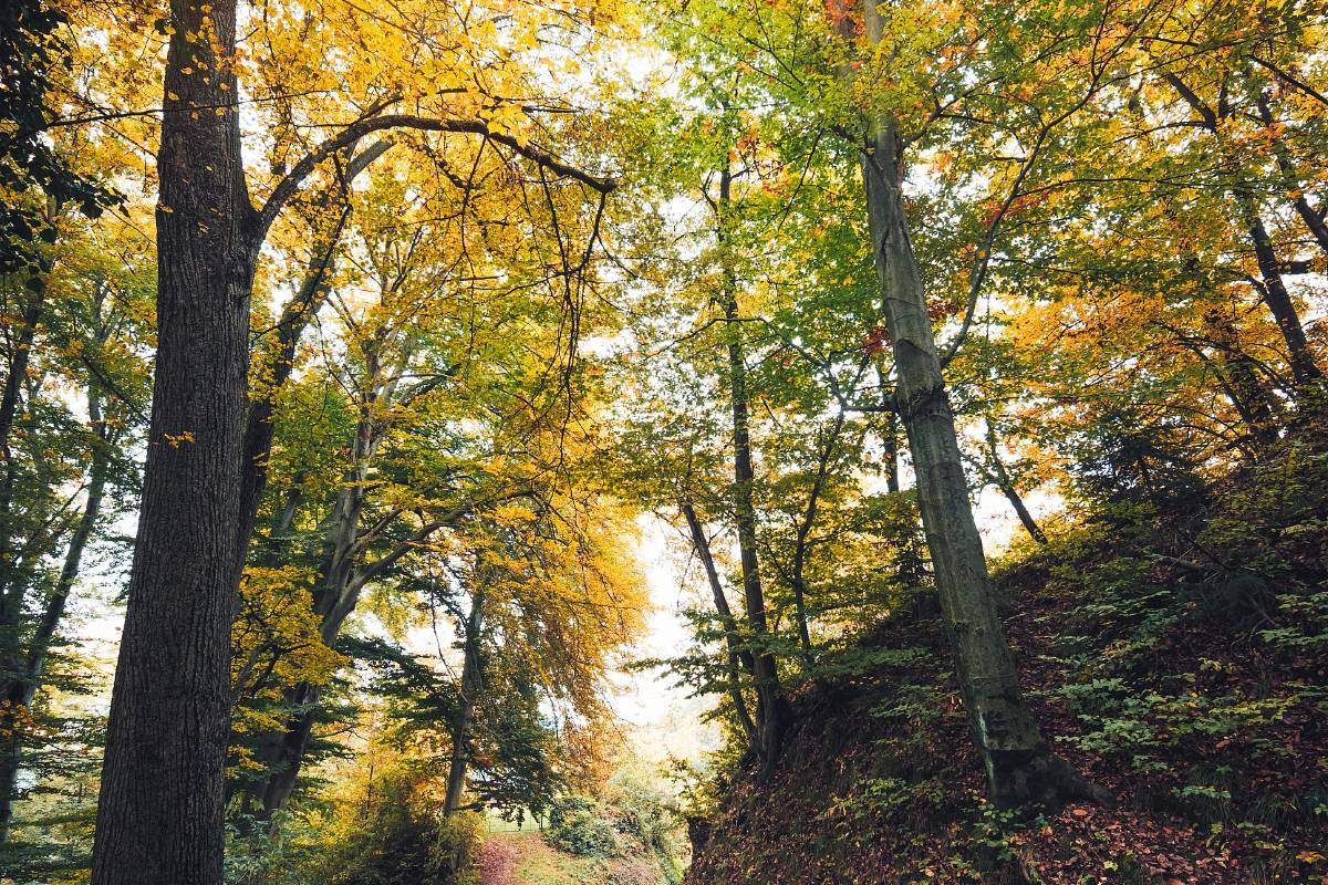 3. Stroll Through the Scenic Baiyun Mountain