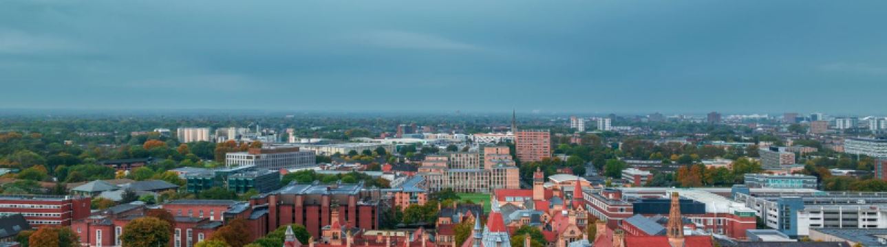 Entdecke die besten Tagesausflüge rund um Manchester 