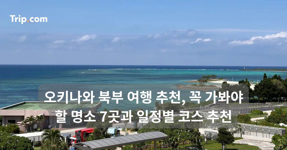 오키나와 북부 여행