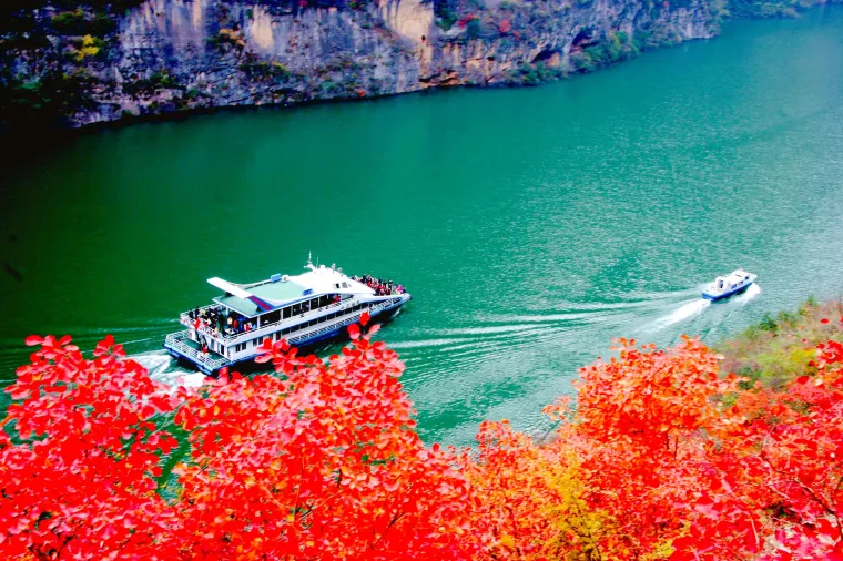 Chongqing autumn