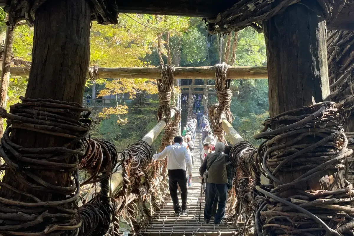 徳島県：祖谷のかずら橋