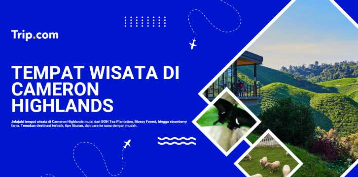 Tempat Wisata di Cameron Highlands