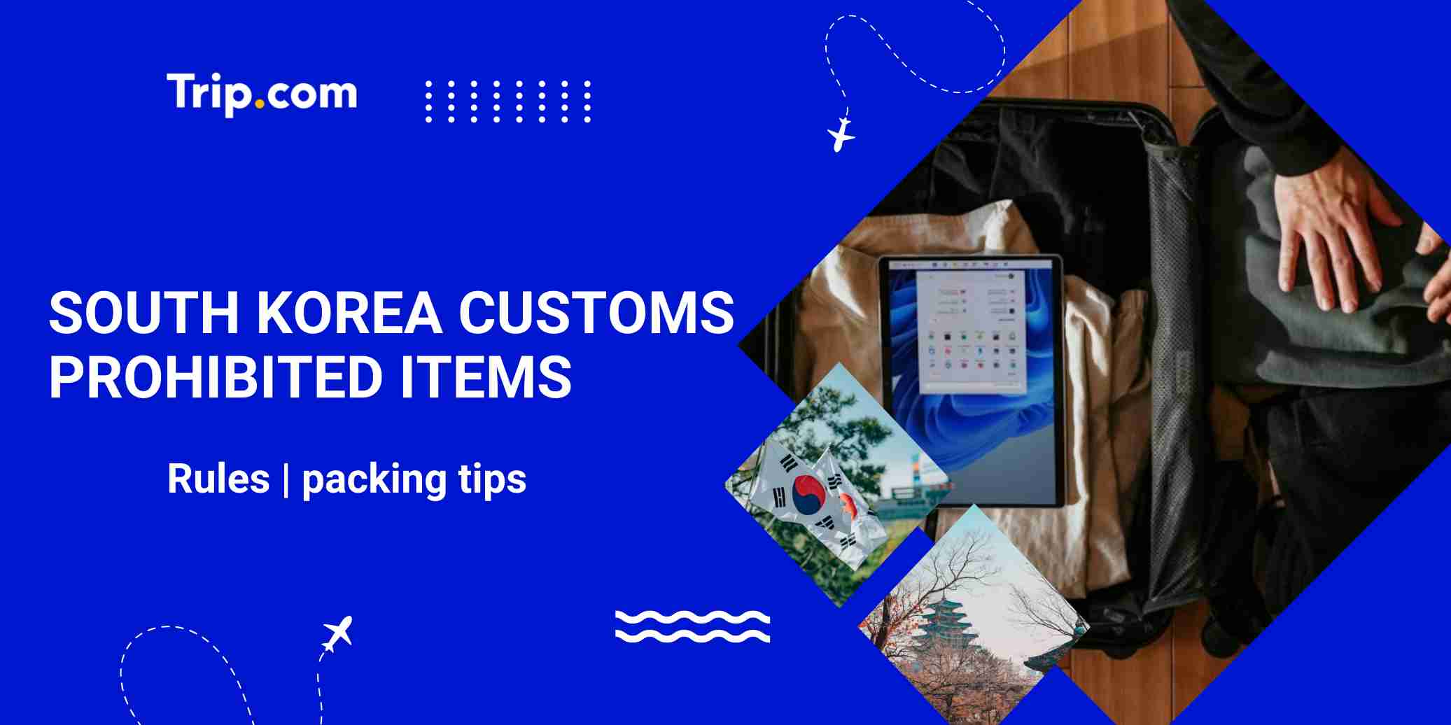 South Korea Customs Prohibited Items Guide