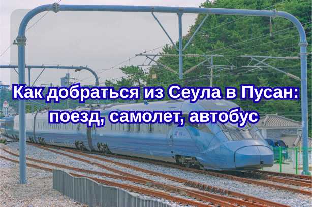 Как добраться из Сеула в Пусан: поезд KTX, самолет, автобус| Trip.com