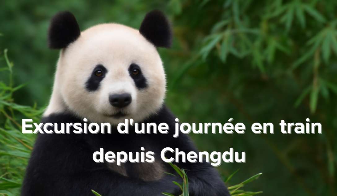 Excursion d'une journée en train depuis Chengdu