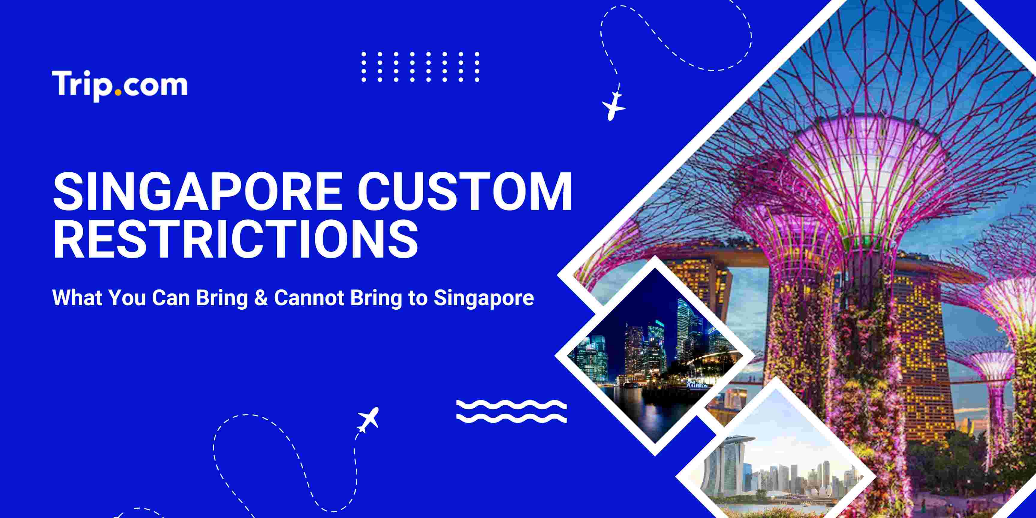 Singapore Custom Restrictions 2026: What You Need to Know Before Entering | Trip Guide