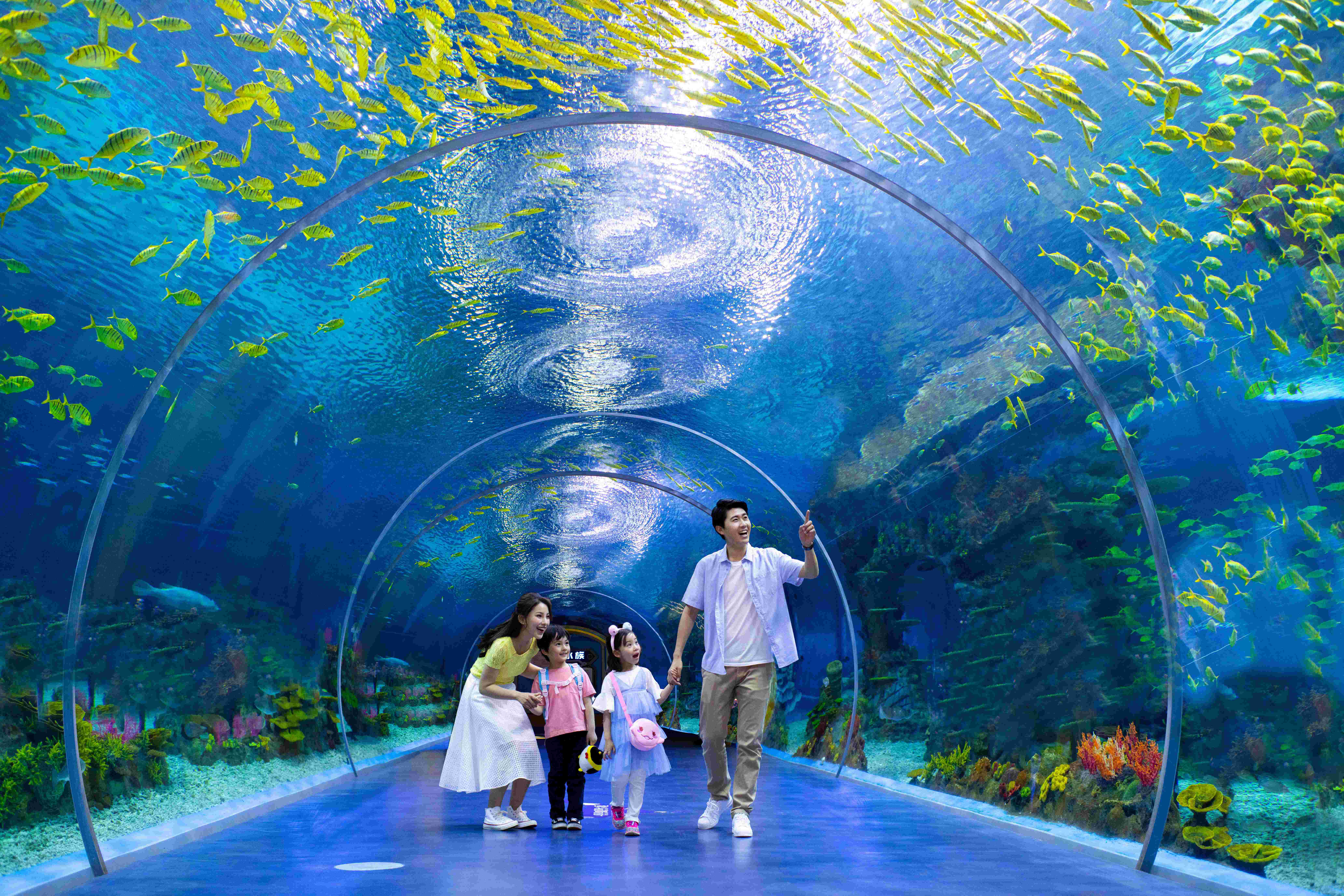 สวนน้ำเซี่ยงไฮ้ไห่ช่างโอเชียนพาร์ค (Shanghai Haichang Ocean Park)