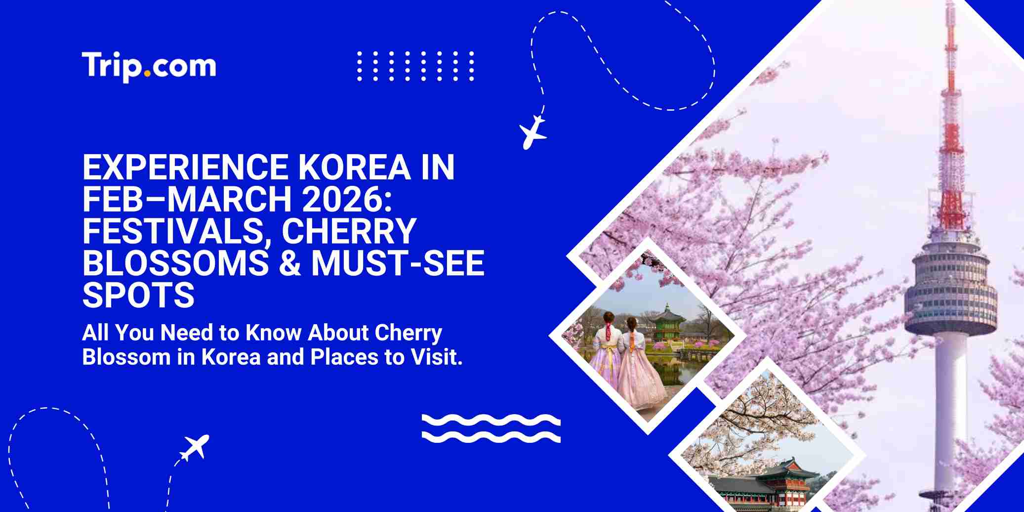 Mùa hoa anh đào Hàn Quốc 2026: Lịch trình, lễ hội & địa điểm ngắm hoa đẹp nhất | Trip.com