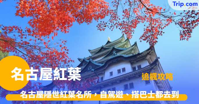 名古屋紅葉2026：12大賞楓景點！附最佳時間預測、交通全攻略