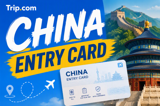 China Entry Card