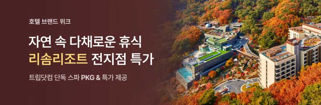 리솜리조트 전지점 특가