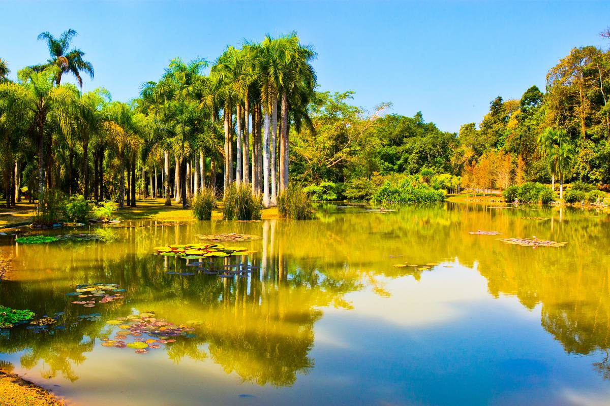 tempat wisata di xishuangbanna