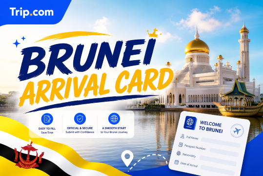 **Brunei Arrival Card**
