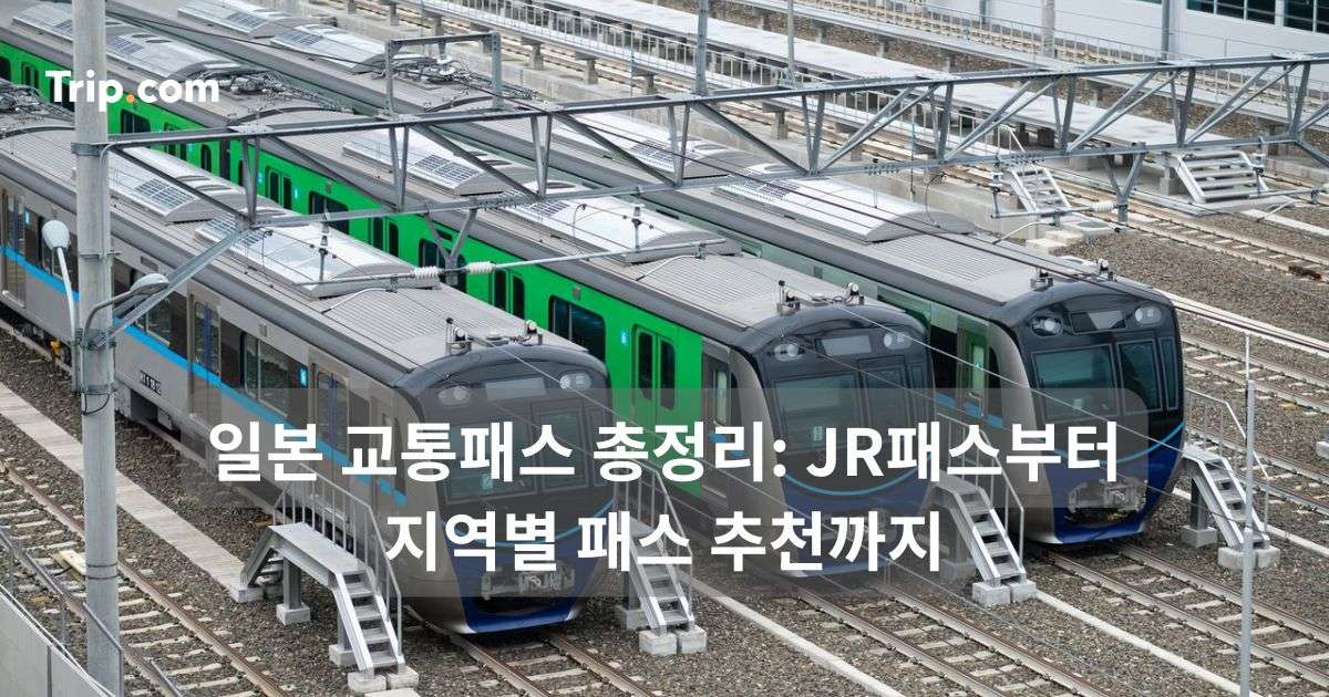 일본 교통패스