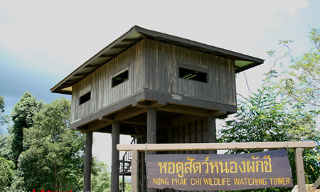 หอดูสัตว์หนองผักชี