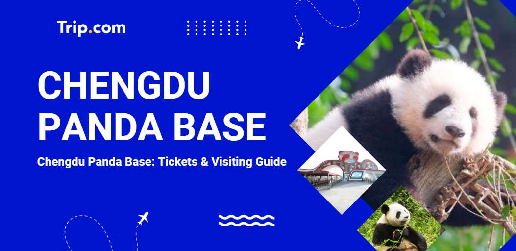 Chengdu Panda Base