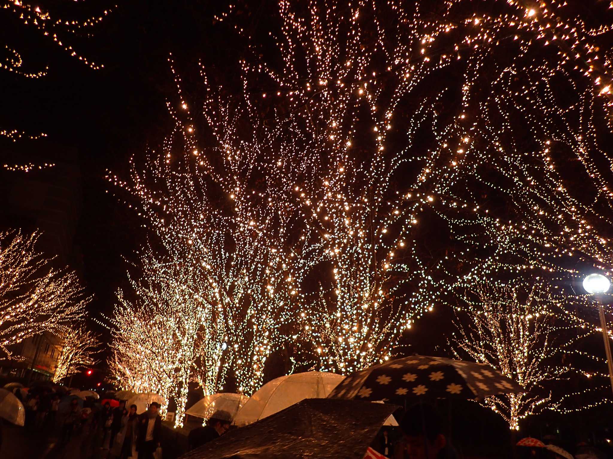 日本聖誕行程 | ROHM Illumination