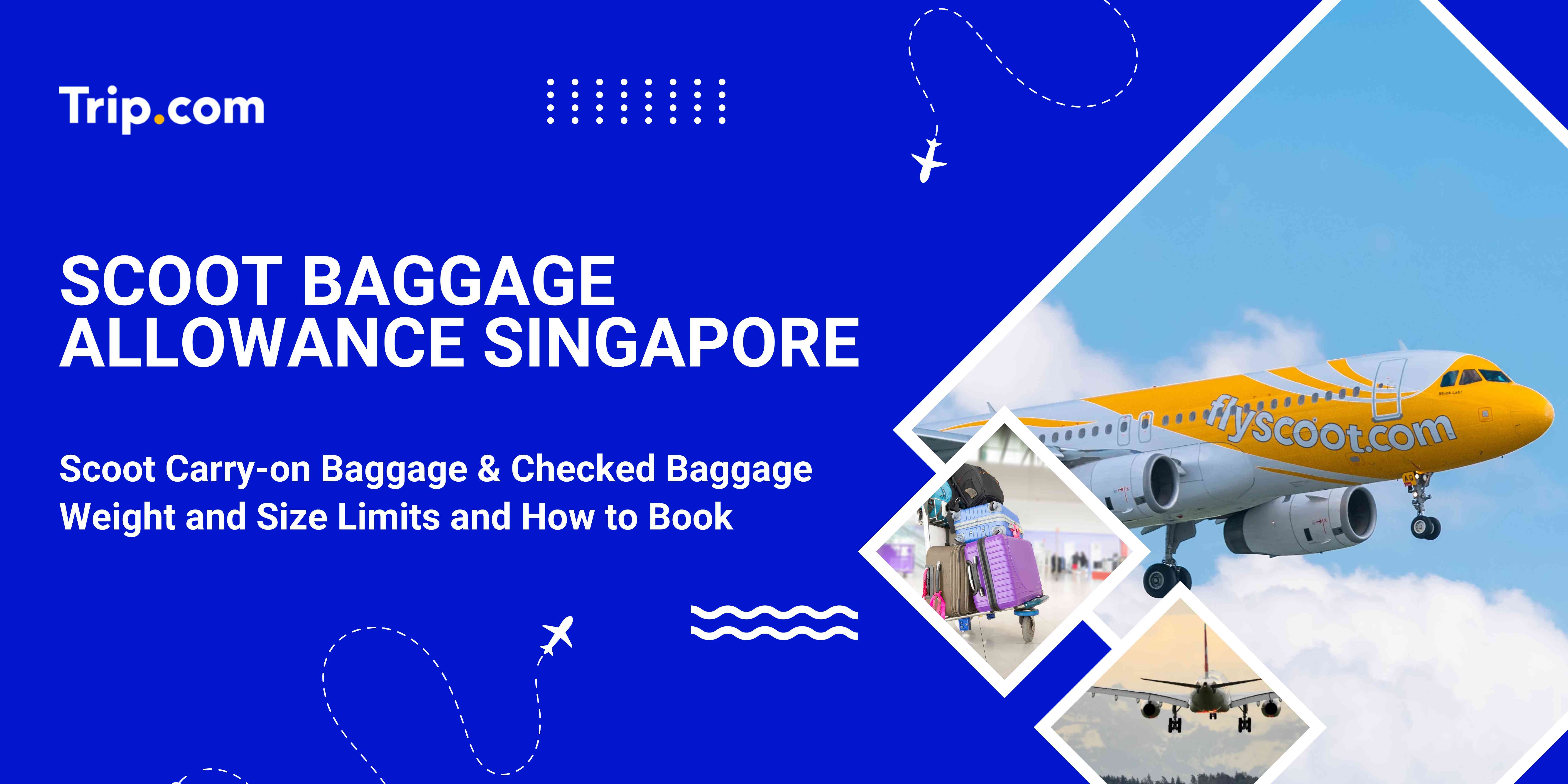 scoot baggage allowance singapore