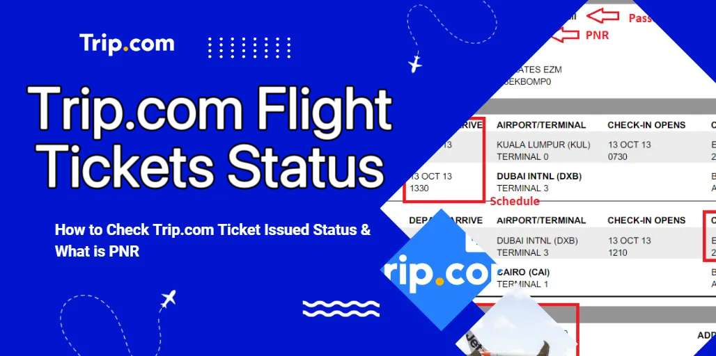 Trip.com Flight Tickets Status