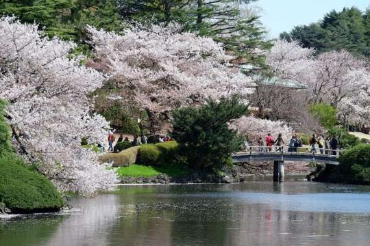 Shinjuku Gyoen