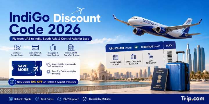 indigo discount code