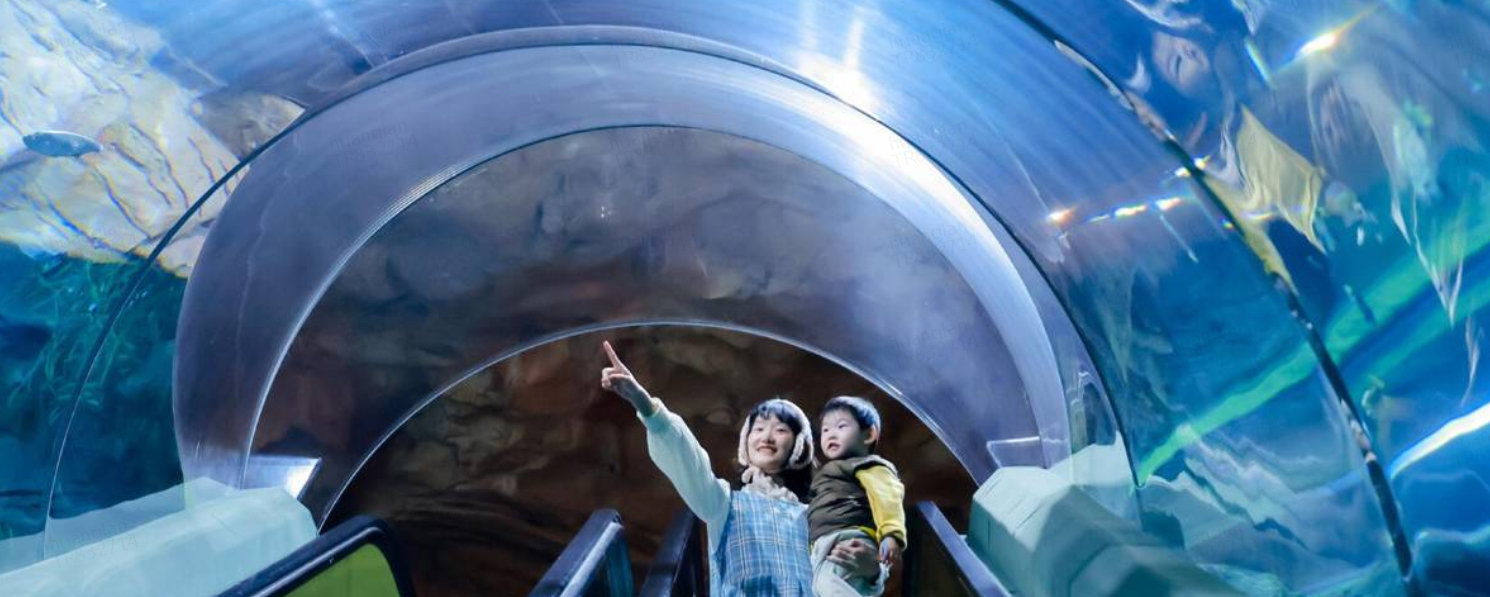 Shanghai Ocean Aquarium Ticket Prices & Annual Pass