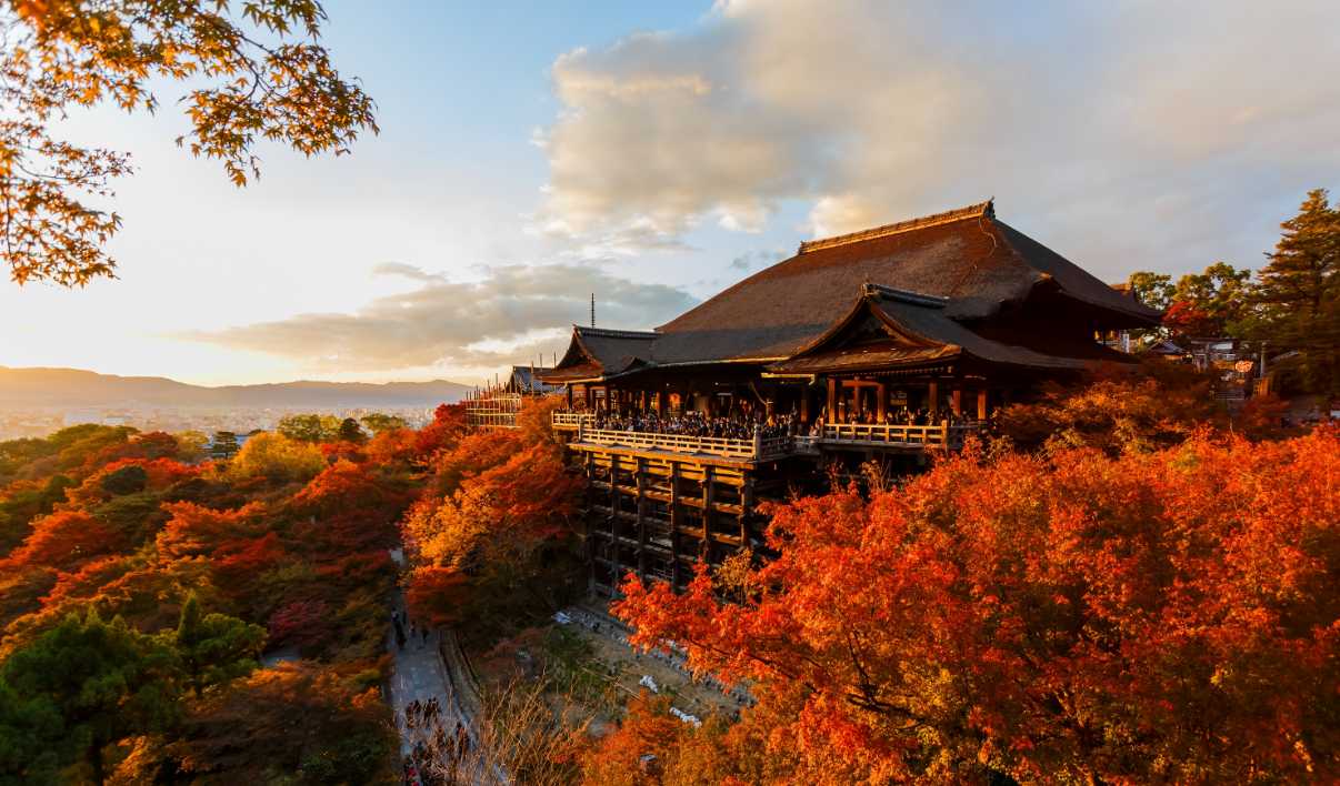 ไปชมใบไม้แดง วัดคิโยะมิซุ เกียวโต ในวันหยุดญี่ปุ่น