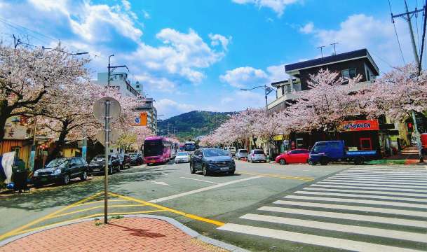 จินเฮกุ - อากาศเกาหลีเดือนเมษายน