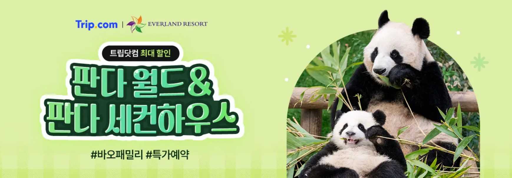에버랜드 판다월드 특가