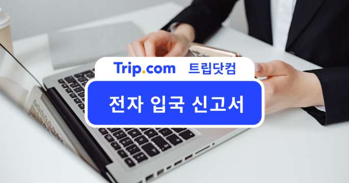 전자 입국 신고서 가이드