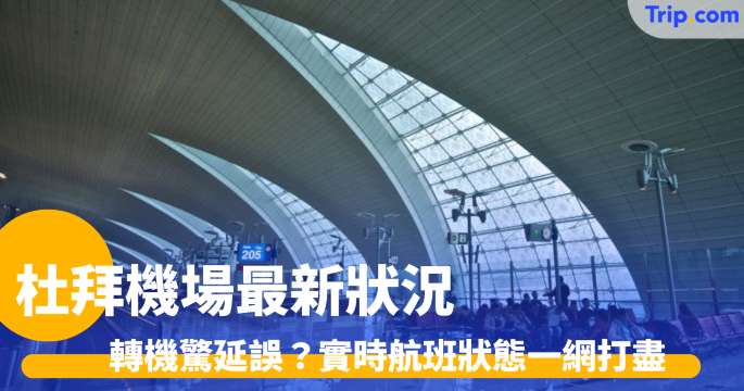 杜拜機場最新狀況 | 航班實時動態、客運大樓攻略與轉機指南 | Trip.com