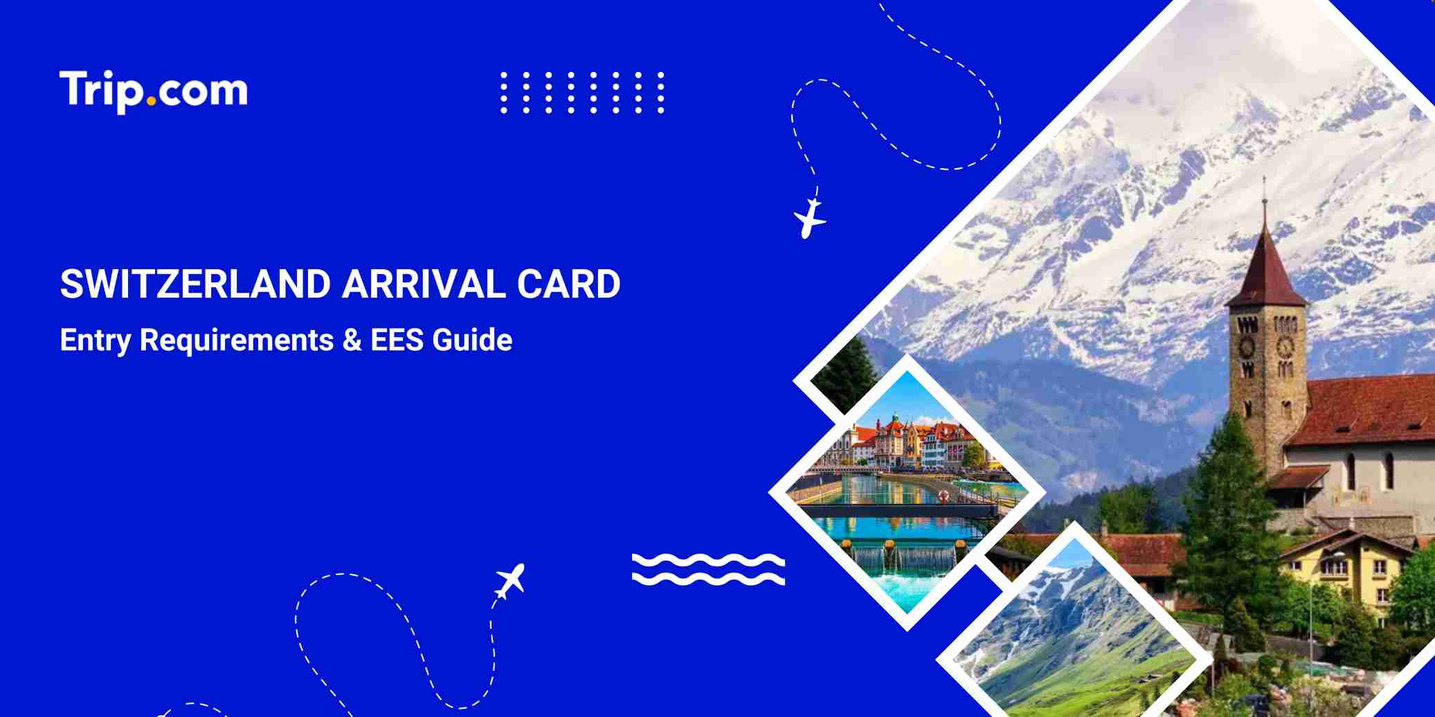 Switzerland Arrival Card