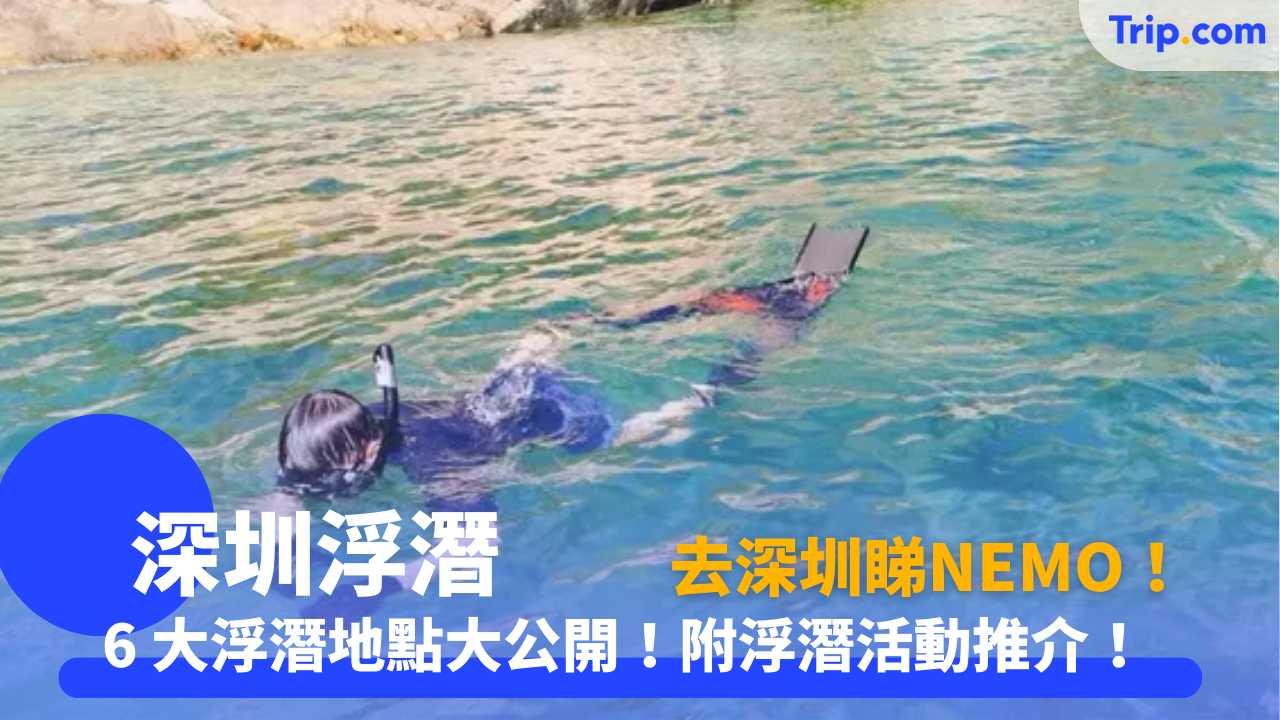 深圳浮潛