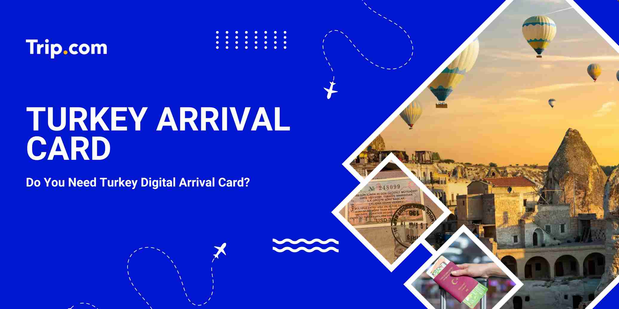 Turkey Arrival Card