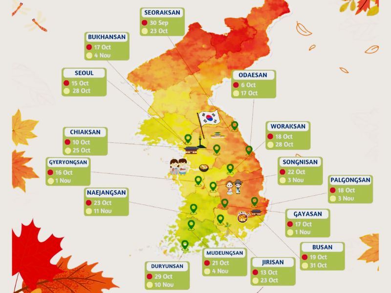Autumn Foliage Forecast
